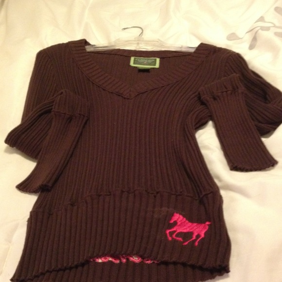 polo ass Sweaters - Brown sweater