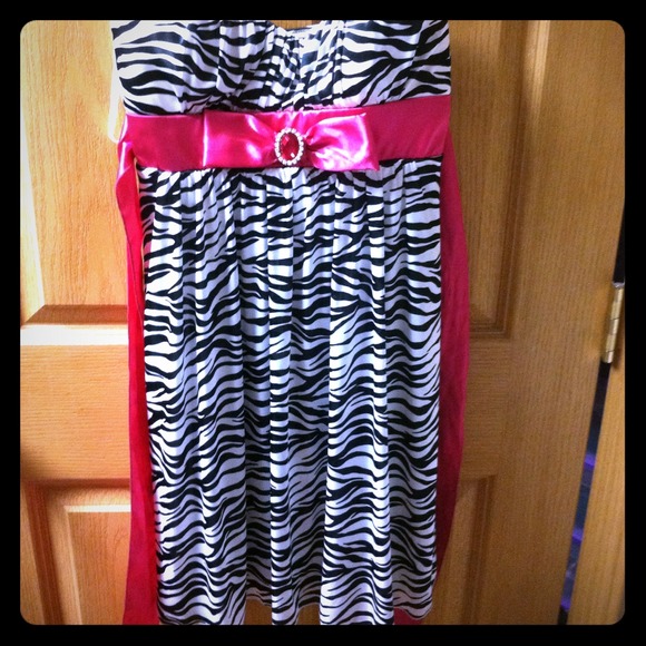 Zebra Print dress with pink sash and jewel