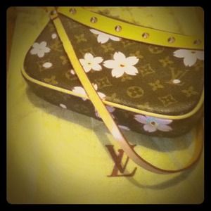 Authentic Louis Vuitton purse