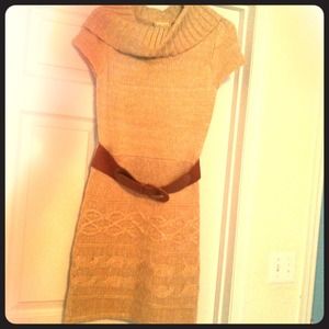 Pink Rose sweater dress