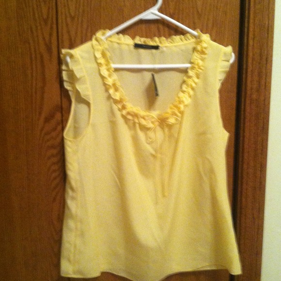 NWT Tahari sunray sleeveless blouse - Picture 1 of 3