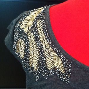 Beautiful Anthro Top