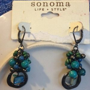 Black and teal dangle earrings.