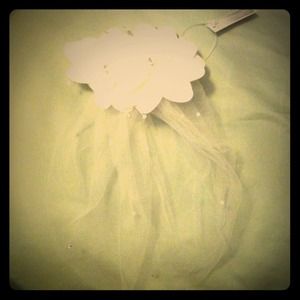 REDUCED! Hairpiece, Blusher w/ detachable flowers.