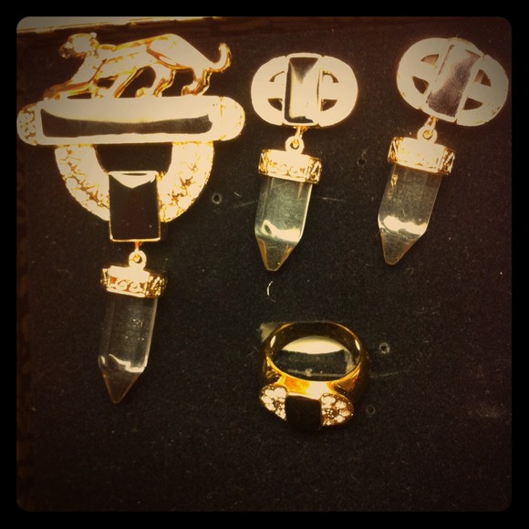 Pin, earrings, ring