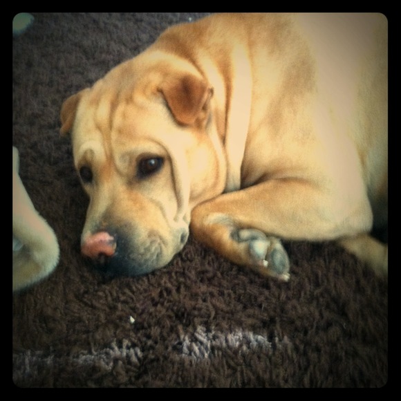 Cutie!!