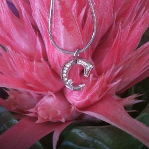 🎯HOLD for kcumom🎯A “C" letter Neclace