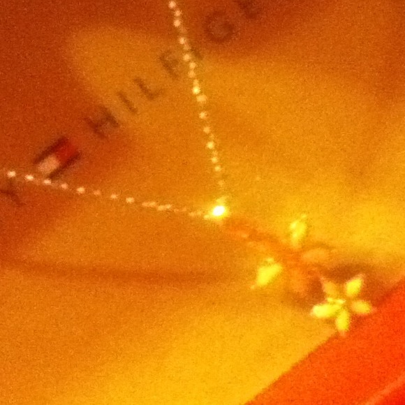 Two flower necklace.