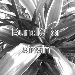 Bundle deal for sinsin