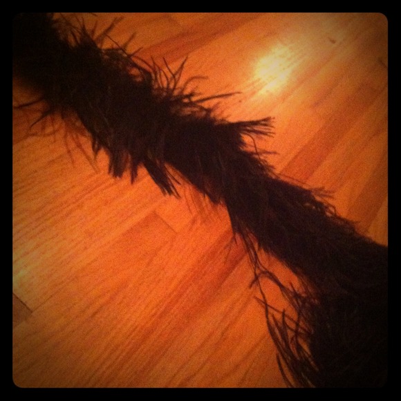 Cute black boa ostridge feathers