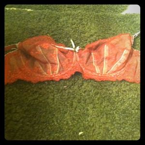 Elle Macpherson bra.