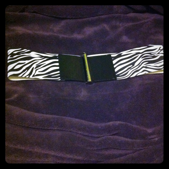 Zebra striped belt