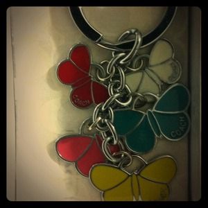 Butterfly Coach Keychain