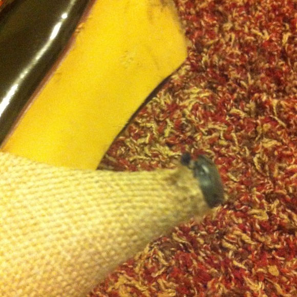 Sexy Black Shoes - Picture 2 of 4