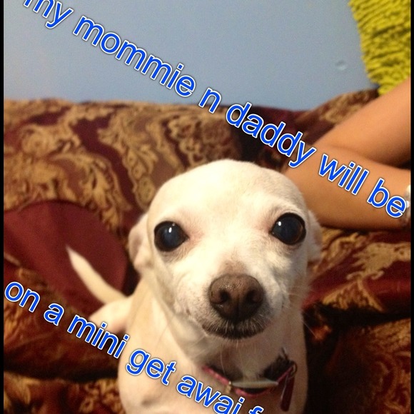 Mini get awai - Picture 1 of 1