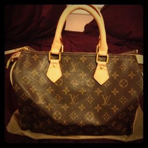 Reserve bundle for @nbustos Faux Louis vuitton