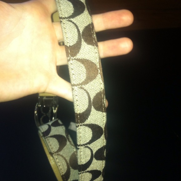 Coach belt! - Picture 2 of 4