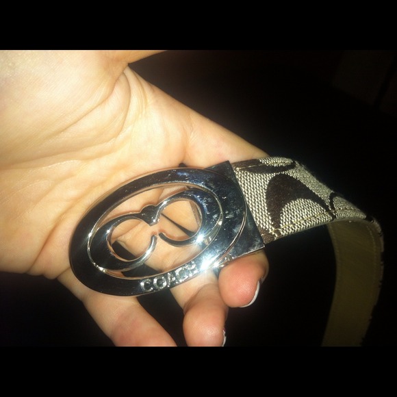 Coach belt! - Picture 3 of 4