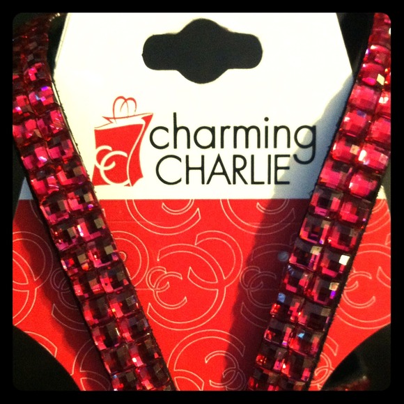 Charming Charlie lanyard