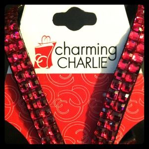 Charming Charlie lanyard