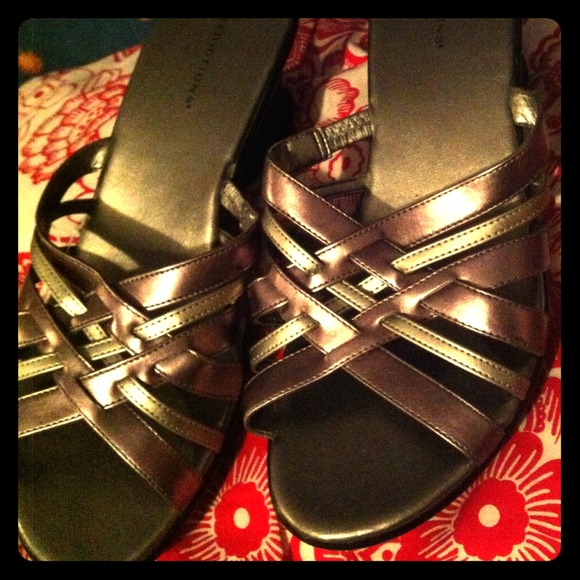 Silver wedges