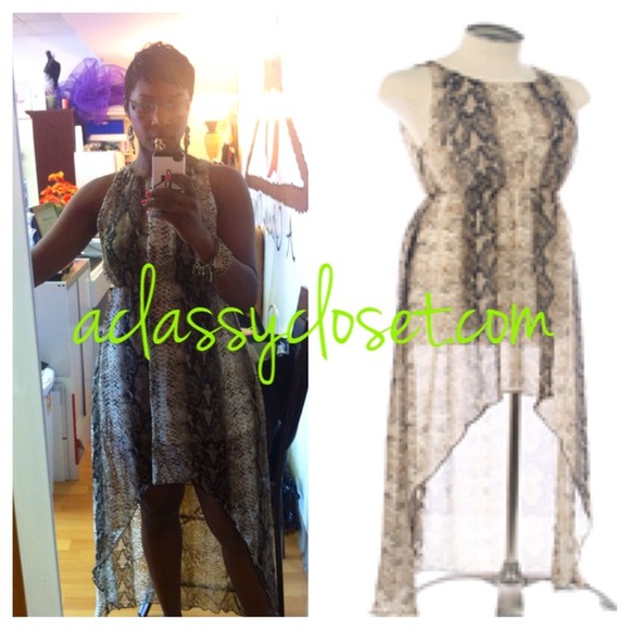 🎀NWT! Snakeskin High-Low Chiffon Dress - Picture 4 of 4