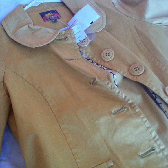 Yellow jacket - Picture 2 of 2