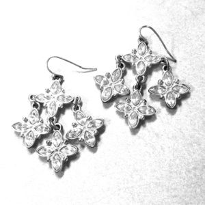 Flashy Earrings