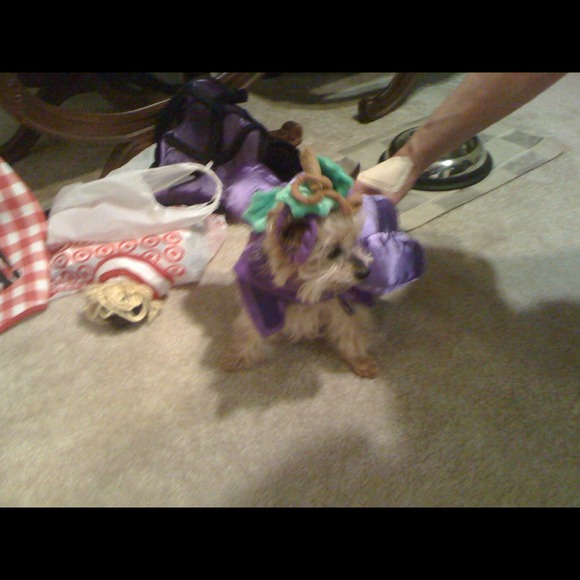 💜💜💜Fendi💜💜💜 - Picture 3 of 3