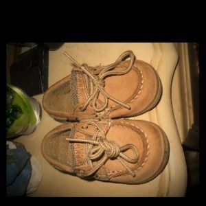 Tollers sperrys