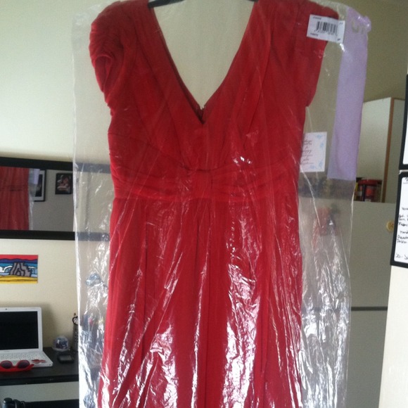 Suzi Chin Dress