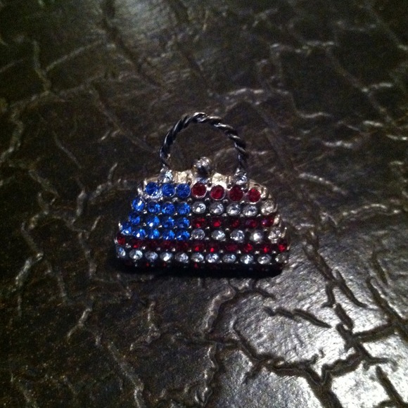 Stars & Stripes Purse Brooch