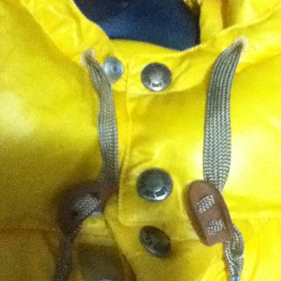 Men's Polo Ralph Laurn outerwear vest