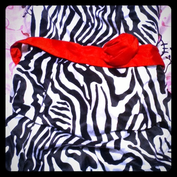 Zebra w/red belt dress