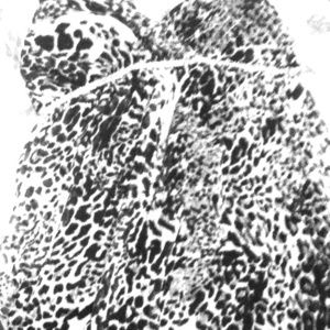 Black & white cheetah dress.