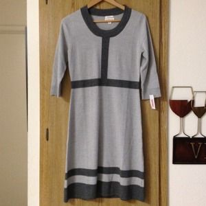 ✨NEW✨sweater Dress