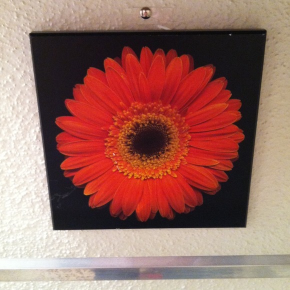 ☀ REDUCED ☀ Four piece flower wall decor!