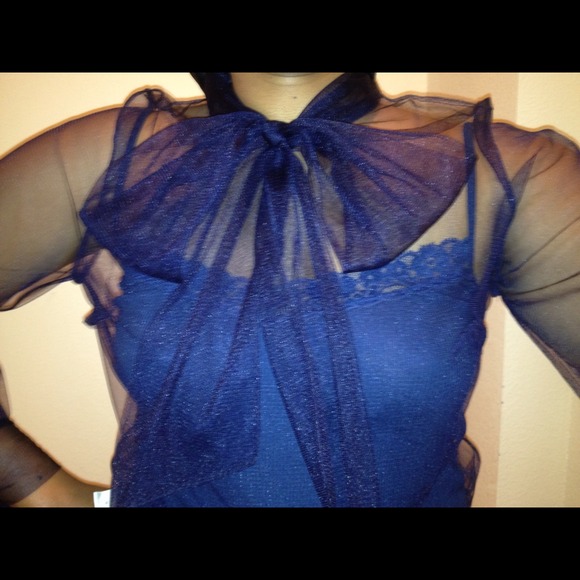 Sheer Navy Blouse