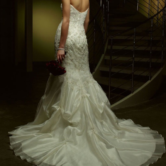 More pics of my Wedding Dress - Picture 4 of 4