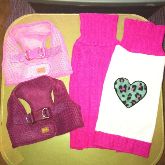 Pet Attire Bundle Set