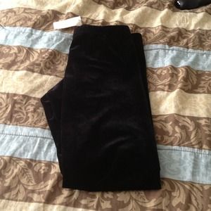 Arden B Ankle Length Velvet tights