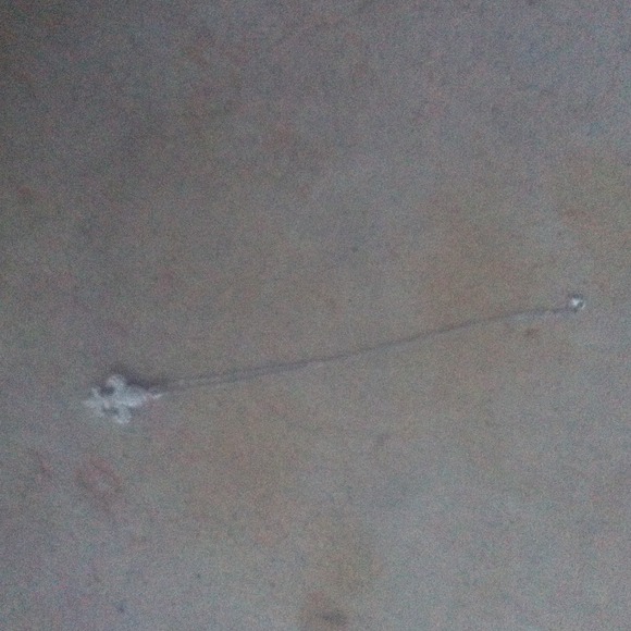 ❤TRADED❤ fleur de Lis necklace!!
