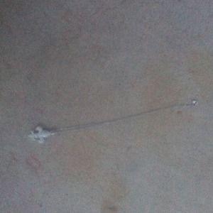 ❤TRADED❤ fleur de Lis necklace!!