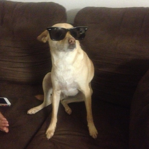 Shades