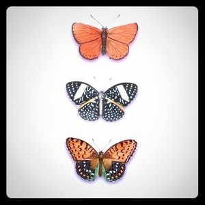 Reserve bundle for @k2z