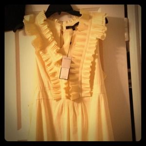 Brand new BCBG Maxazria woven dress with tags