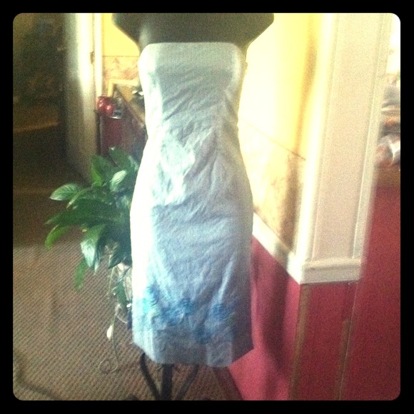 Express dress (REDUCED) - Picture 1 of 2