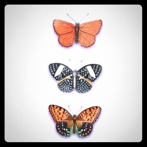 Reserve bundle for @rnpmommy