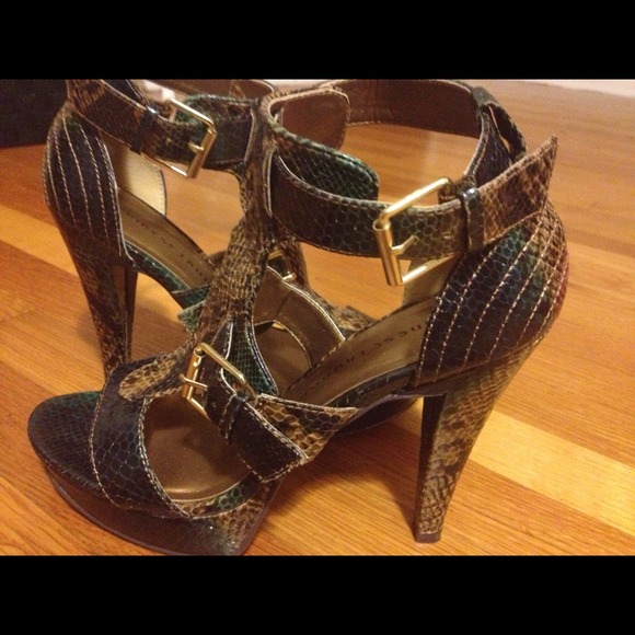 Python Chinese Laundry - Picture 2 of 4