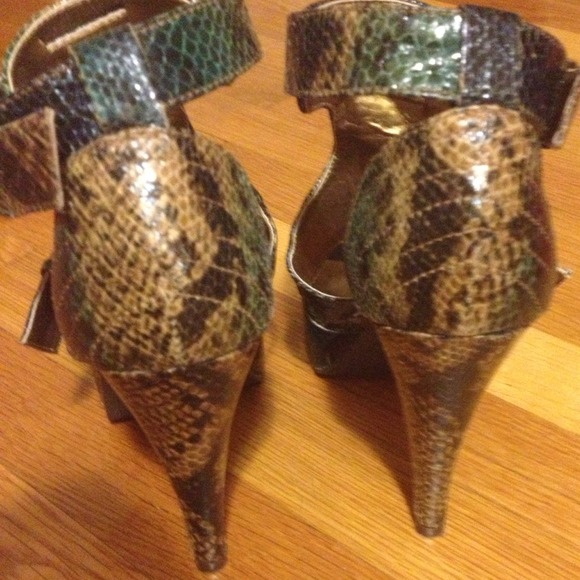 Python Chinese Laundry - Picture 3 of 4